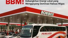 Kebangkitan Energi Lokal yang Menggoyang Dominasi Raksasa Migas Nasional. FOTO : NET